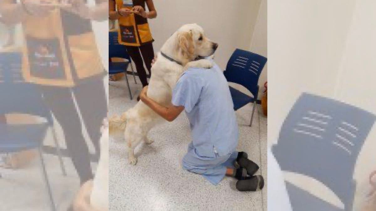 El Hospital del Henares mejora la experiencia del paciente oncológico con música, teatro e intervención con perros