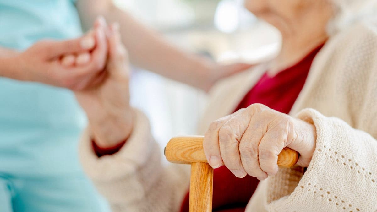 Torrejón aprueba los trámites para ceder terrenos a la Comunidad de Madrid y construir una nueva residencia de mayores