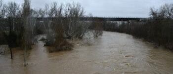 El Henares y el Jarama continúan en nivel rojo por riesgo de desbordamientos en Alcalá, San Fernando y Mejorada