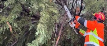 El 112 de la Comunidad de Madrid gestiona 977 incidencias por el viento