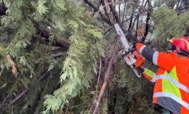 El 112 de la Comunidad de Madrid gestiona 977 incidencias por el viento