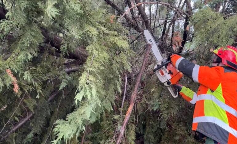 El 112 de la Comunidad de Madrid gestiona 977 incidencias por el viento