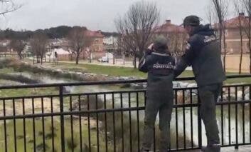 Madrid activa la situación 0 del Plan de Inclemencias y la preemergencia del INUNCAM por nieve y riesgo de inundaciones